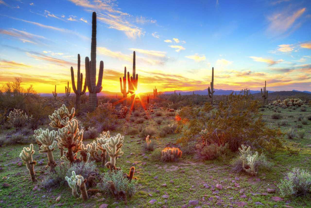Cambria Hotel Phoenix Chandler - Fashion Center Luaran gambar